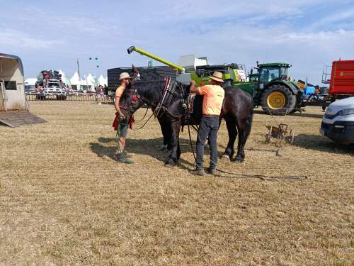 IMG_20260609_093045